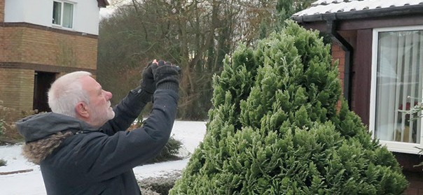 Franchise Spotlight: A Closer Look at Property Inspections Franchise Ltd