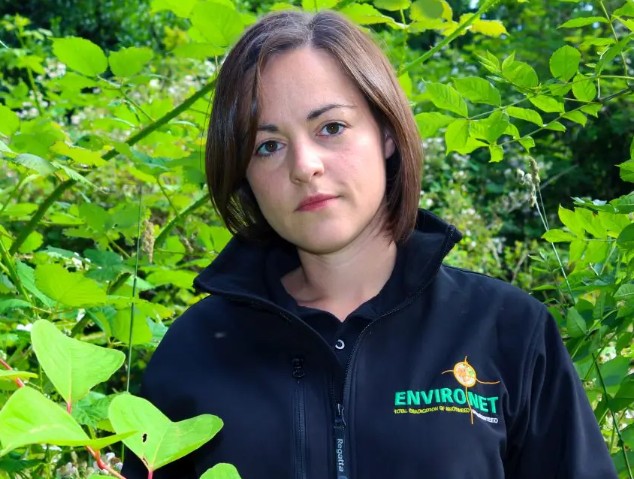 Invasive bamboo is a growing threat to property transactions